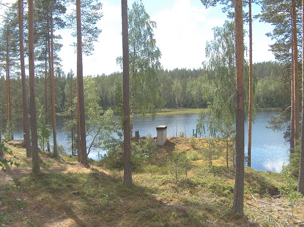 Saunan takaa.